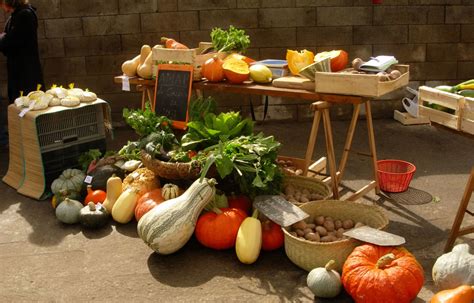 cueillette fruits et légumes pays basque